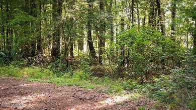 Lot 13 This beautiful lot offers a quiet setting surrounded by - photo 2