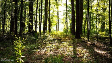 Lot 14 A stunning wooded lot with plenty of space to create your - photo 3