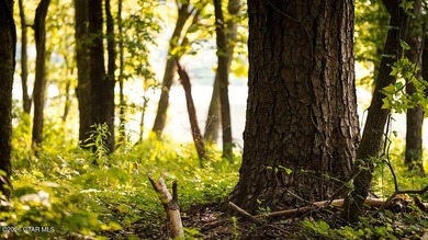 Lot 14 A stunning wooded lot with plenty of space to create your - photo 4