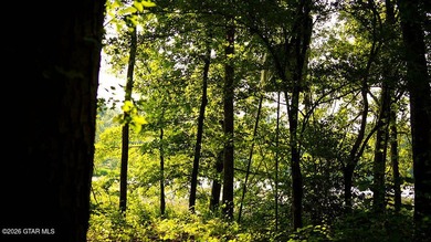 Lot 14 A stunning wooded lot with plenty of space to create your - photo 5