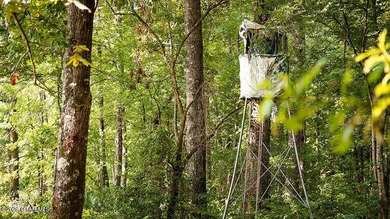 Lot 14 A stunning wooded lot with plenty of space to create your - photo 9