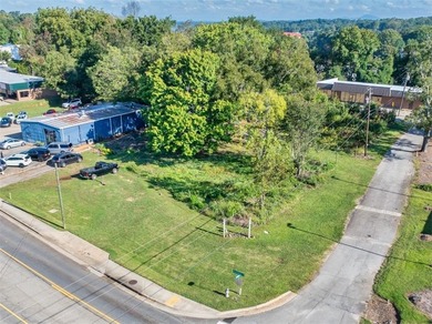 Lake Lanier Commercial For Sale in Gainesville Georgia