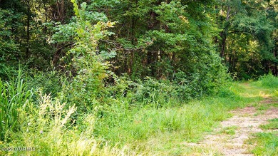Lot 15 Perfectly situated lot with mature trees and excellent - photo 3