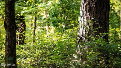 Lot 16 This scenic homesite offers a blend of privacy and - photo 2