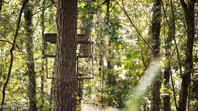 Lot 17 Nestled in a quiet setting, this wooded lot provides the - photo 3