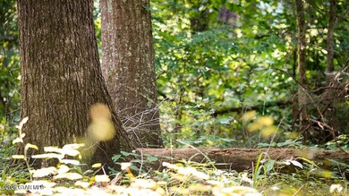 Lot 17 Nestled in a quiet setting, this wooded lot provides the - photo 4