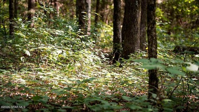 Lot 17 Nestled in a quiet setting, this wooded lot provides the - photo 7