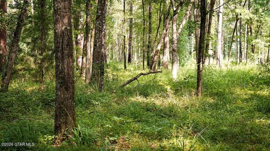 Lot 17 Nestled in a quiet setting, this wooded lot provides the - photo 8