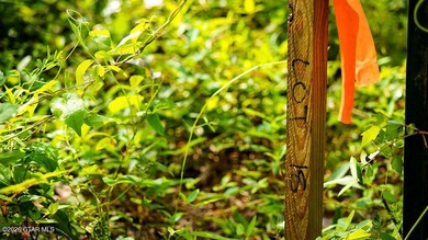 Lot 18 A premium lot with beautiful natural surroundings and - photo 1