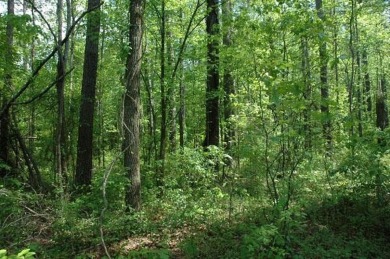 Lake Acreage For Sale in Water Valley, Mississippi