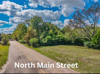 Parcel 1.01 is 19.8 acres, and Parcel 103.1 is 2.1 acres - photo 2