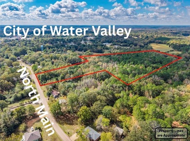 Parcel 1.01 is 19.8 acres, and Parcel 103.1 is 2.1 acres - photo 3