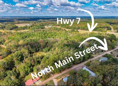 Parcel 1.01 is 19.8 acres, and Parcel 103.1 is 2.1 acres - photo 4