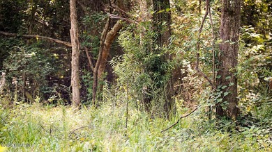 Lot 18 A premium lot with beautiful natural surroundings and - photo 6