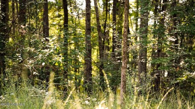 Lot 18 A premium lot with beautiful natural surroundings and - photo 7