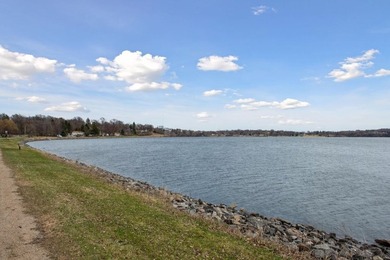 12.12 Acres of Development Land on Buffalo Lake . Located a 1/2 - photo 15