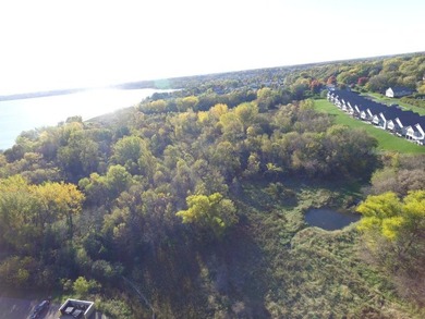 12.12 Acres of Development Land on Buffalo Lake . Located a 1/2 - photo 20