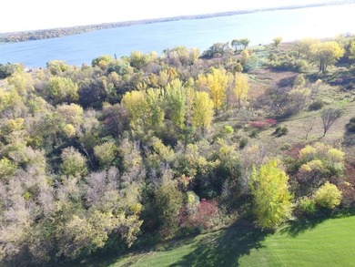 12.12 Acres of Development Land on Buffalo Lake . Located a 1/2 - photo 21