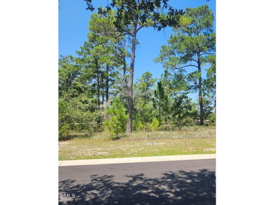Builder / Investor Opportunity - 7 Ready-to-Build Lots in - photo 2