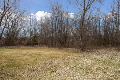 12.12 Acres of Development Land on Buffalo Lake . Located a 1/2 - photo 25