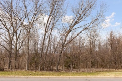 12.12 Acres of Development Land on Buffalo Lake . Located a 1/2 - photo 26
