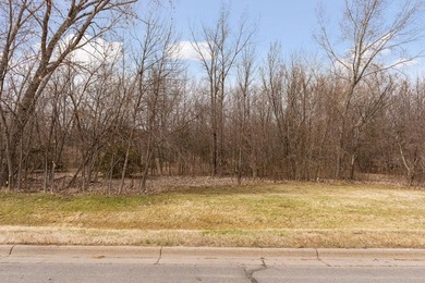 12.12 Acres of Development Land on Buffalo Lake . Located a 1/2 - photo 28