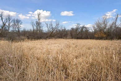 12.12 Acres of Development Land on Buffalo Lake . Located a 1/2 - photo 29