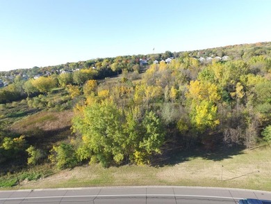 12.12 Acres of Development Land on Buffalo Lake . Located a 1/2 - photo 32
