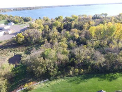 12.12 Acres of Development Land on Buffalo Lake . Located a 1/2 - photo 33