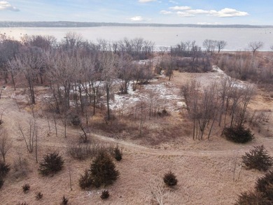 12.12 Acres of Development Land on Buffalo Lake . Located a 1/2 - photo 41