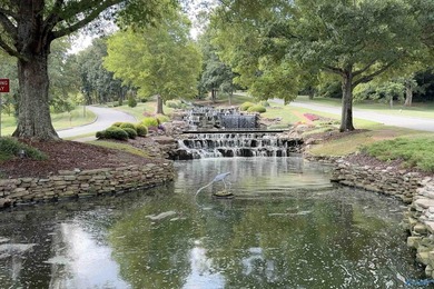 Custom 5BR/4.5BA home on a quiet cul-de-sac with hardwood floors - photo 47