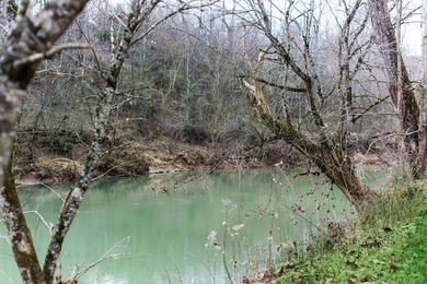Unbelievable, historic farm in Sparta, Tennessee. Known as the - photo 50