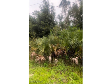 Lehigh Acres Area Lot For Sale in Lehigh Acres Florida