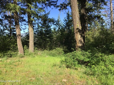 Lake Lot For Sale in Saint Maries, Idaho