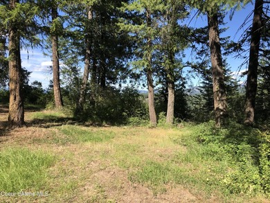 Very desirable lots in Black Lake Shores, 4 lots on Rufus Trail - photo 3