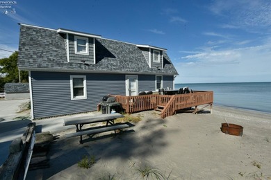 Lake Erie Dream Retreat - 102' of Private Lakefront with Beach - photo 1