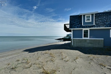 Lake Erie Dream Retreat - 102' of Private Lakefront with Beach - photo 3