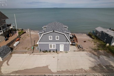 Lake Erie Dream Retreat - 102' of Private Lakefront with Beach - photo 7