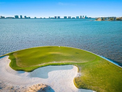 Wake up to the charm of Belleair living in this beautifully - photo 31