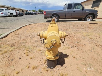 Lake Powell Lodging is an extended-stay business model offering - photo 33