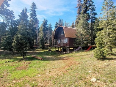 Navajo Lake Home For Sale in Duck Creek Utah