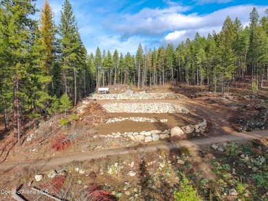 Rare 5-acre build-ready lot with unobstructed views of the Pend - photo 7