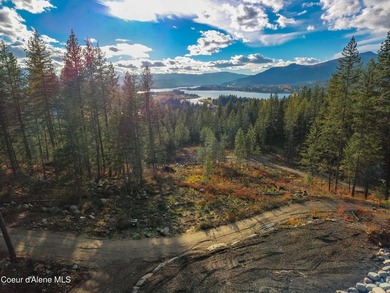 Rare 5-acre build-ready lot with unobstructed views of the Pend - photo 8