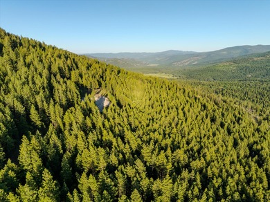 (private lake, pond, creek) Acreage For Sale in Marion Montana