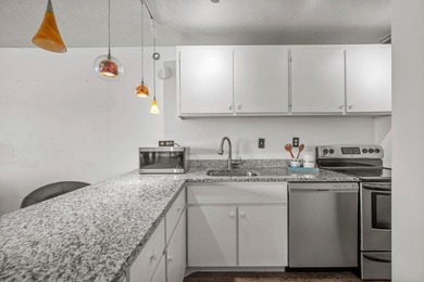 Move-in ready and beautifully updated, this River Towers condo - photo 31
