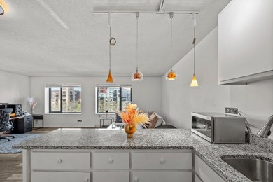 Move-in ready and beautifully updated, this River Towers condo - photo 32