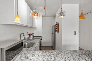 Move-in ready and beautifully updated, this River Towers condo - photo 33