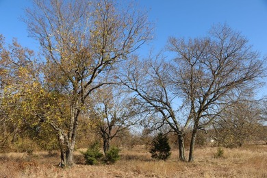 157+/- acres of Verdigris River frontage with a barndominium and - photo 45