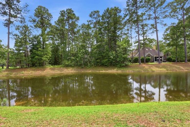 AGENT OWNER! Welcome to 25 Stonington Drive, an exceptional - photo 46