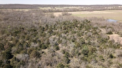 157+/- acres of Verdigris River frontage with a barndominium and - photo 50